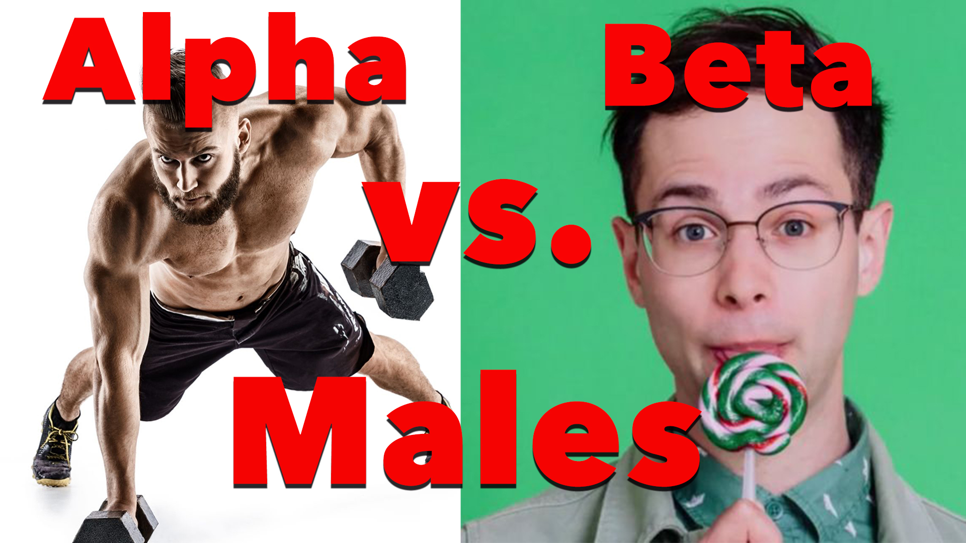 Whats the difference between a beta male and an alpha male?
